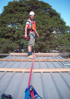 Occupational Health Safety